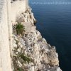 Buza_Dubrovnik_Croatia