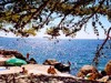 Plaža Beterina Dubrovnik