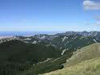 Park šuma Ošjak - Vela Luka Korčula