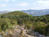 Kočje otok Korčula